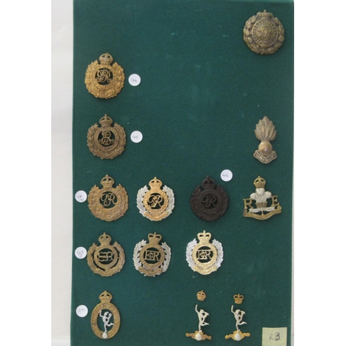 276 - Uncollated military cap badges, some copies: to include The Queen's Own Hussars (Please Note: this l... 