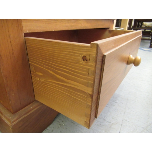 298 - A modern pine hallrobe with a panelled door, over a base drawer, on a plinth  70