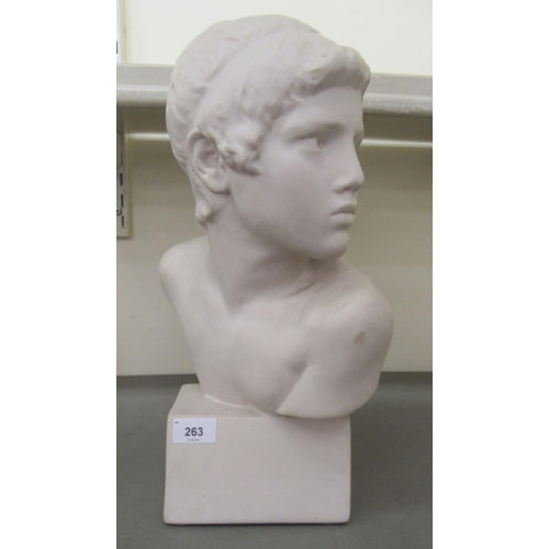 263 - A 20thC moulded ceramic faux marble bust, a youth, on a block socle  17.5