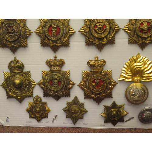 105 - Approx. thirty military helmet plates and other insignia, some copies: to include Northumberland Fus... 