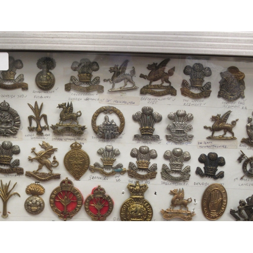 127 - Approx. one hundred military cap badges and other insignia, some copies: to include Marines Light In... 