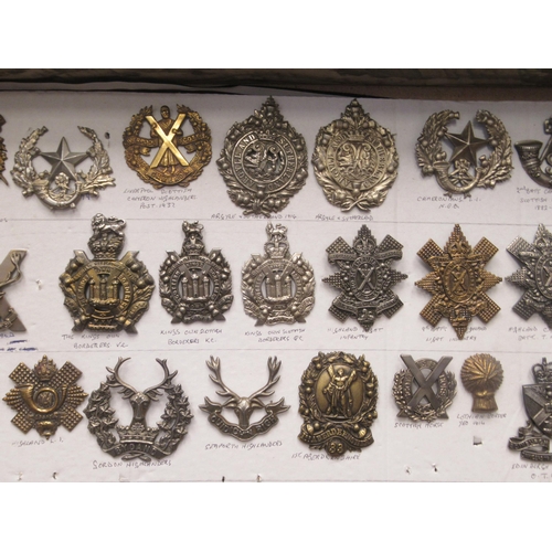 140 - Approx. seventy military cap badges and other insignia, some copies: to include 1st Aberdeenshire, T... 