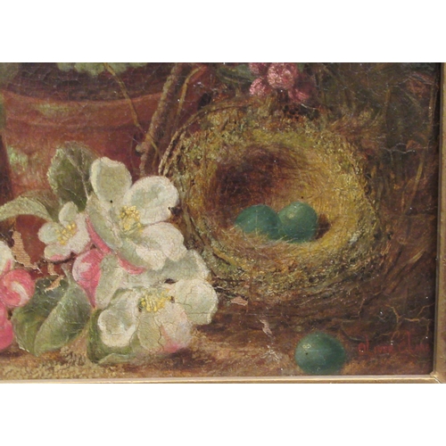 165 - Oliver Clare - a still life study, flowers in a pot, fallen blossom and a hedgerow bird's nest and e... 