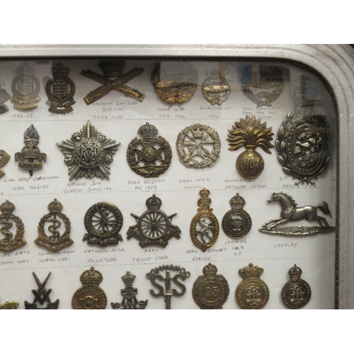 91 - Approx. one hundred military cap badges and other insignia, some copies: to include Royal Armoured C... 