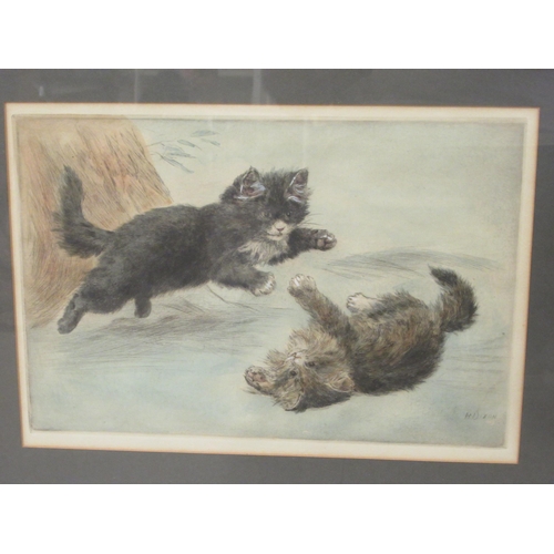 213 - After H Dixon - two studies, playful kittens  engravings  8