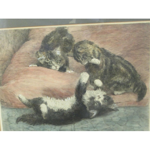 213 - After H Dixon - two studies, playful kittens  engravings  8