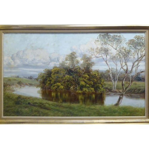 240 - Early/mid 20thC British School - a woodland river view  oil on board  17