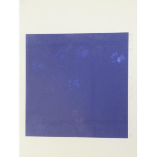 34 - After Mychael Barratt - 'Yves Klein's Cat'  Limited Edition 38/60 coloured print  bears a ... 