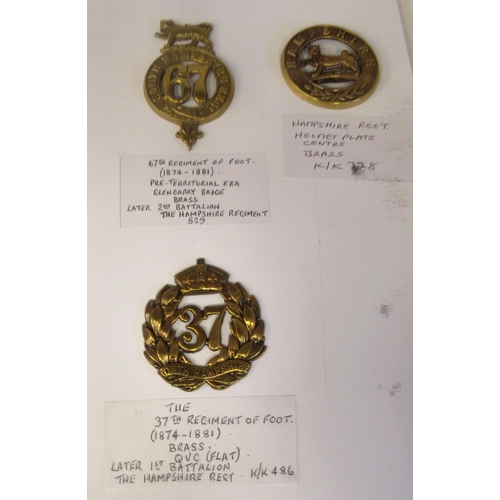 158 - An album collection of fully identified British military badges, some copies, comprising Hampshire R... 