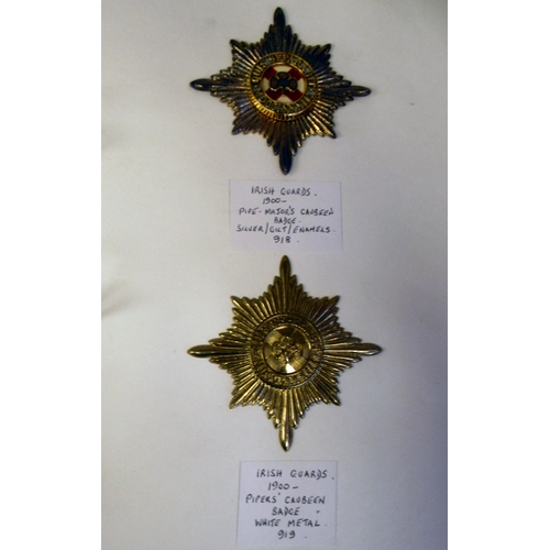 69 - An album collection of fully identified British military badges, some copies: to include Irish Guard... 