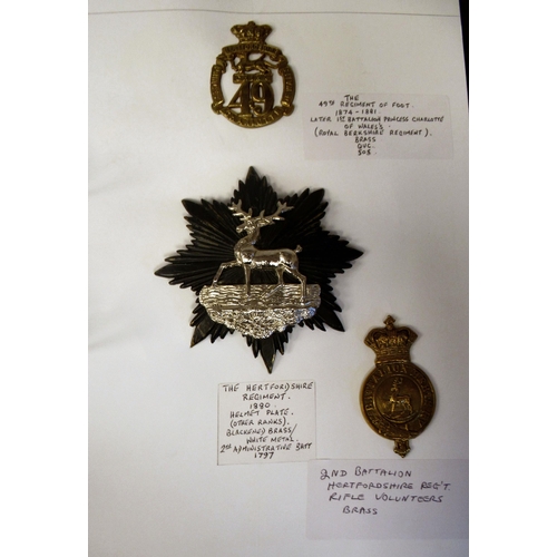 84 - An album collection of fully identified British military badges, some copies, comprising Bedfordshir... 