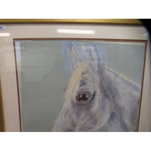 42 - Modern British School - a horse's head  pastel  20