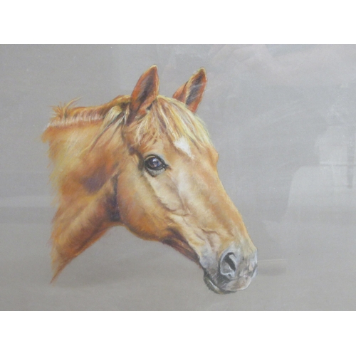 158 - Mark Hankinson - a study of a horses head  pastel  bears a signature  14