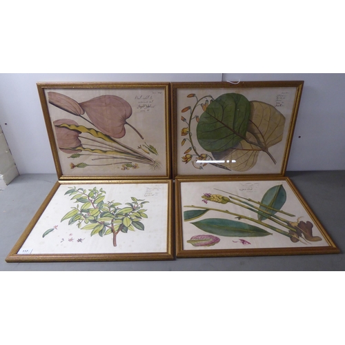 117 - A series of four framed late 19thC botanically themed coloured prints  bearing Middle Eastern and ot... 