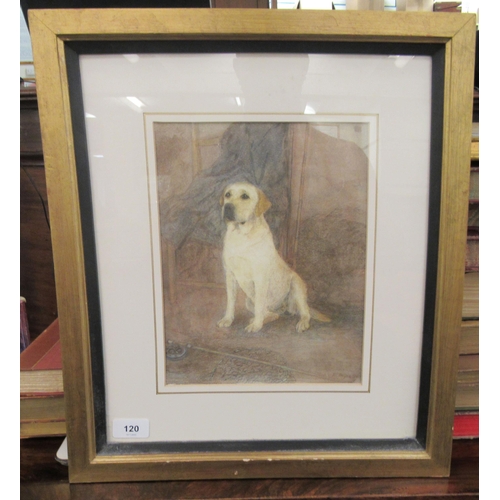 120 - E Meyer - a portrait, a seated Golden Labrador  watercolour  bears a signature  11