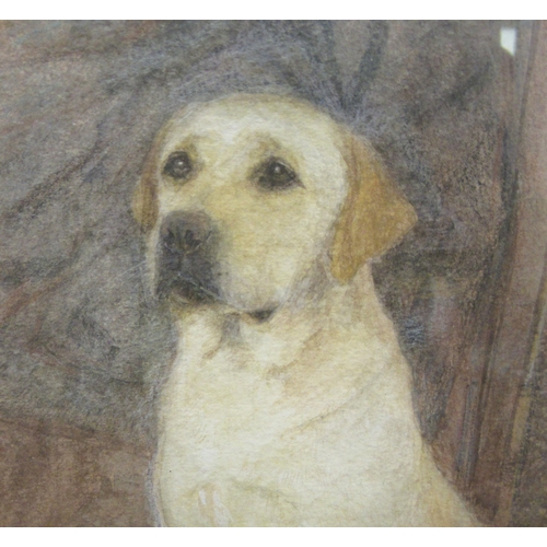 120 - E Meyer - a portrait, a seated Golden Labrador  watercolour  bears a signature  11