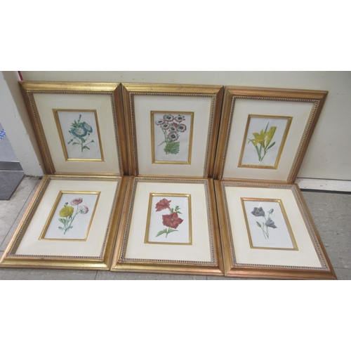 323 - A series of six late 19thC/early 20thC tinted botanical prints  7