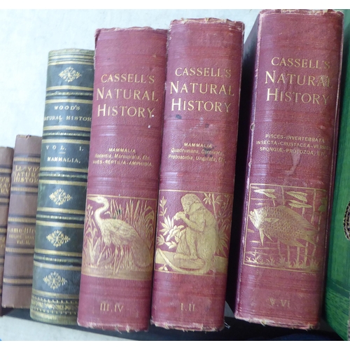 75 - Books, 19thC and later natural history related: to include Woods Volume 1 'Mammalia', dated 1872; Ca... 