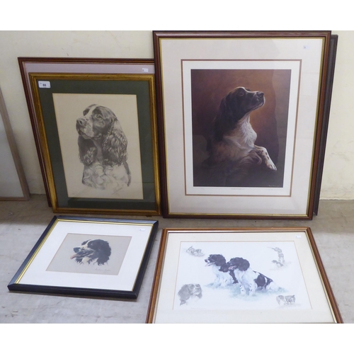 88 - Seven framed prints: to include after Nigel Hemmings - canine subjects  largest 18