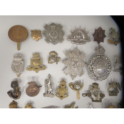 202 - Approx. fifty military cap badges and other insignia, some copies: to include Kings Liverpool Regt.;... 