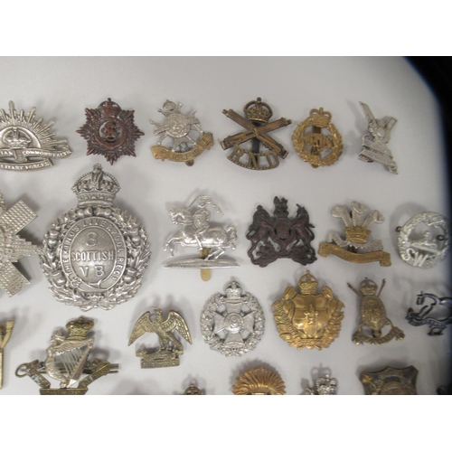 202 - Approx. fifty military cap badges and other insignia, some copies: to include Kings Liverpool Regt.;... 