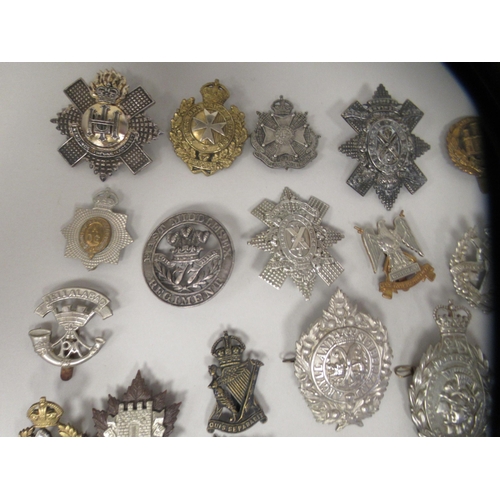 206 - Approx. fifty military cap badges and other insignia, some copies: to include The The Royal Scots Dr... 