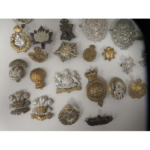 206 - Approx. fifty military cap badges and other insignia, some copies: to include The The Royal Scots Dr... 