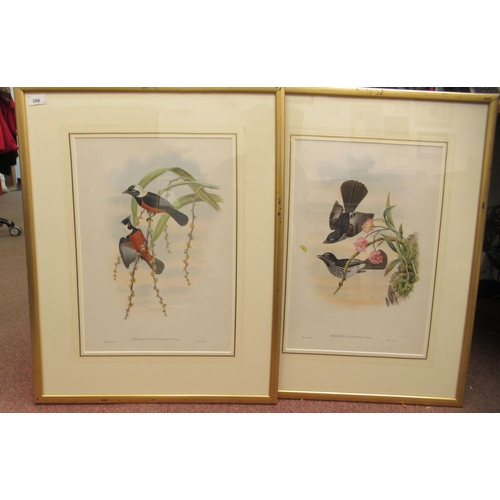 286 - A series of four late 19thC ornithological studies  coloured lithographs  printed text ver... 