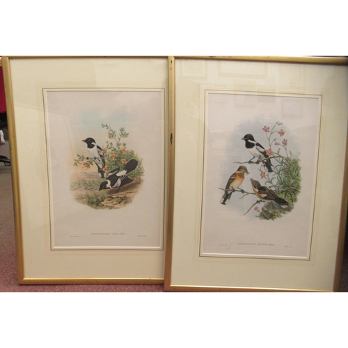 286 - A series of four late 19thC ornithological studies  coloured lithographs  printed text ver... 