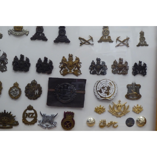 39 - Over one hundred and twenty military cap badges and other insignia, some copies: to include Royal Ar... 