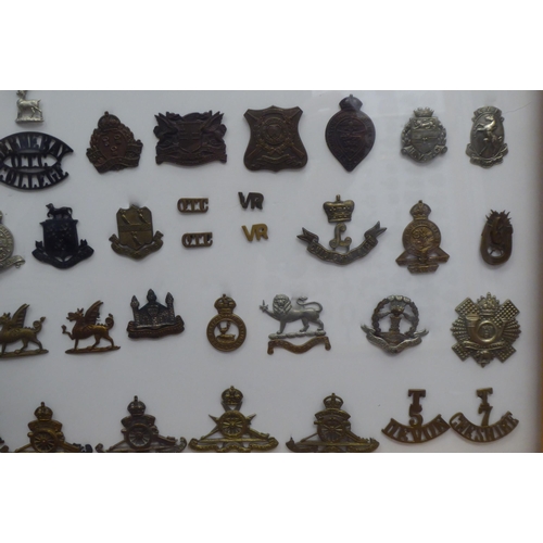 46 - Over ninety military cap badges and other insignia, some copies: to include 1st Battalion, Blackpool... 