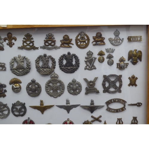 48 - Over one hundred and twenty military cap badges and other insignia, some copies: to include Glider R... 