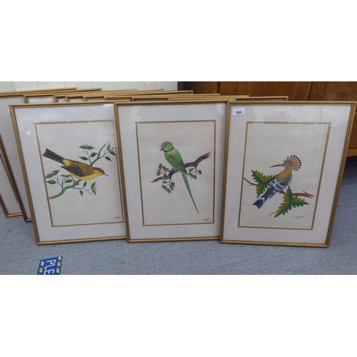 288 - CBS Rangel - a set of twelve various Nepalese region birds  watercolours  bearing signatures  10