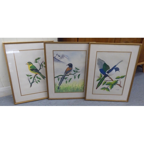 288 - CBS Rangel - a set of twelve various Nepalese region birds  watercolours  bearing signatures  10