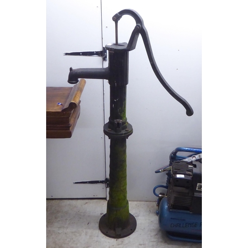 73 - A Victorian style cast iron water pump head  52