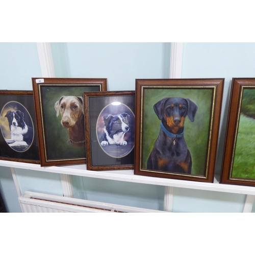 94 - Dog themed pictures and prints, mainly Border Collies and Doberman  mixed sizes  framed