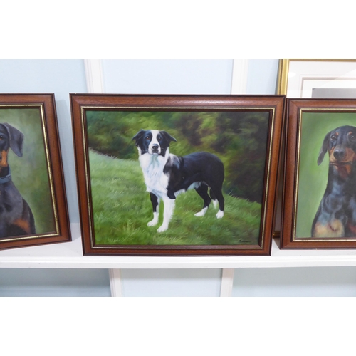 94 - Dog themed pictures and prints, mainly Border Collies and Doberman  mixed sizes  framed