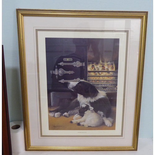 94 - Dog themed pictures and prints, mainly Border Collies and Doberman  mixed sizes  framed