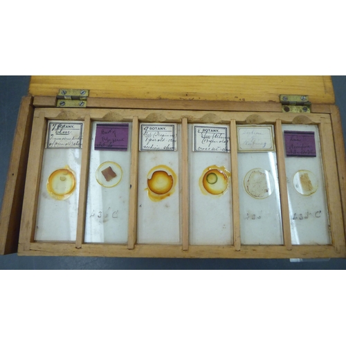 353 - An early/mid 20thC microscopic collection of botanical slides  cased 