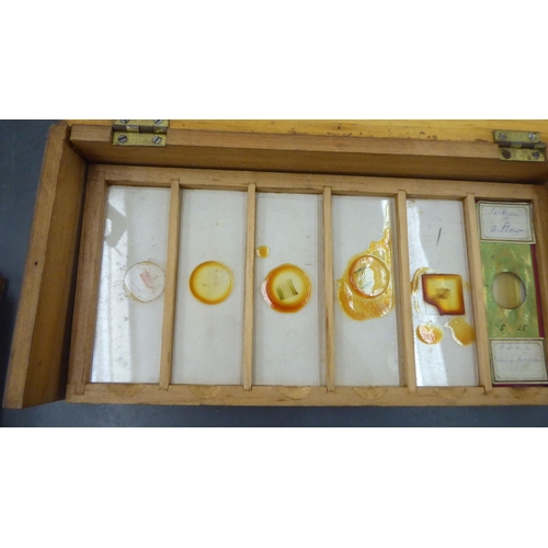 353 - An early/mid 20thC microscopic collection of botanical slides  cased 