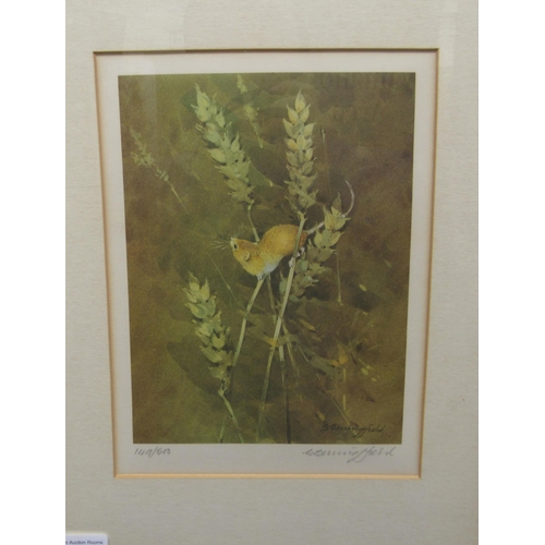 115 - After Gordon Benningfield - a dormouse amongst foliage  Limited Edition 149/500 coloured print  bear... 