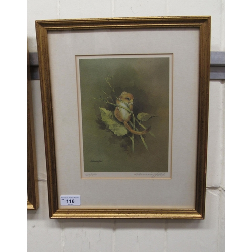 116 - After Gordon Benningfield - a dormouse amongst foliage  Limited Edition 149/500 coloured print  bear... 