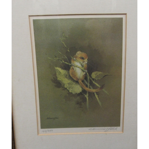 116 - After Gordon Benningfield - a dormouse amongst foliage  Limited Edition 149/500 coloured print  bear... 