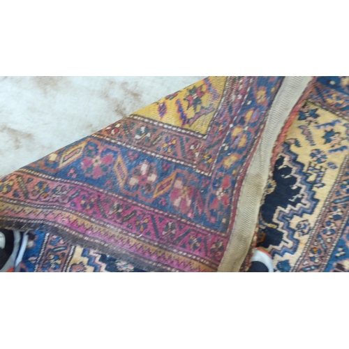 43 - A Persian runner, on a multi-coloured ground  41