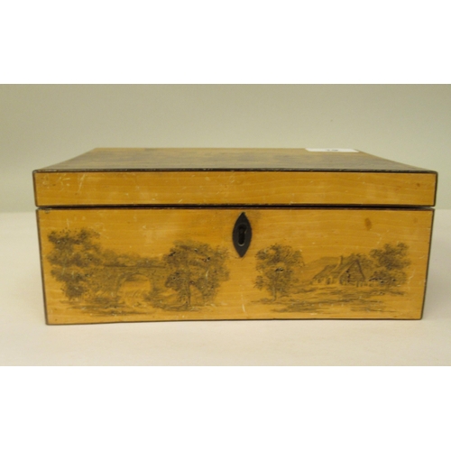 19 - A late 19thC Mauchlineware style satinwood on sycamore box, the straight sides and hinged lid featur... 