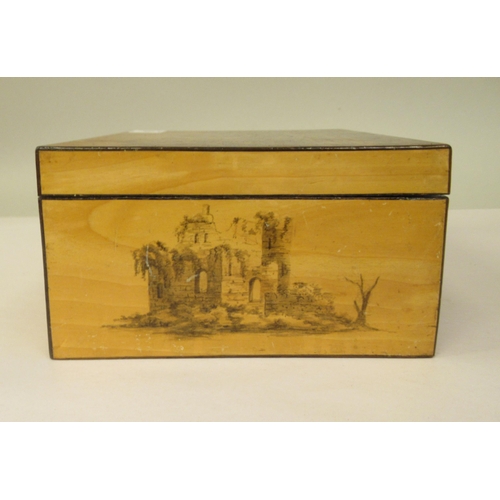 19 - A late 19thC Mauchlineware style satinwood on sycamore box, the straight sides and hinged lid featur... 