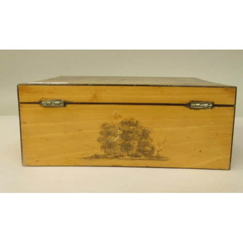 19 - A late 19thC Mauchlineware style satinwood on sycamore box, the straight sides and hinged lid featur... 
