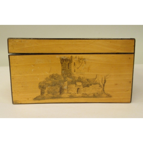 19 - A late 19thC Mauchlineware style satinwood on sycamore box, the straight sides and hinged lid featur... 