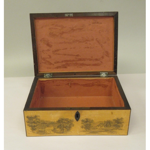 19 - A late 19thC Mauchlineware style satinwood on sycamore box, the straight sides and hinged lid featur... 