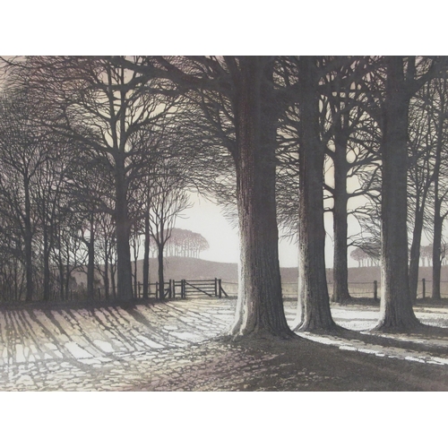 14 - After Kathleen Caddick - 'Evening Shadows'  Limited Edition 75/250 print  bears a pencil signature  ... 